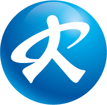 세종시 ci